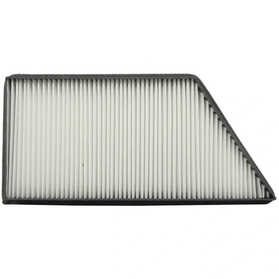 فیلتر اتاق پژو 206 و 207 (سلفون ،دو فیلتره)